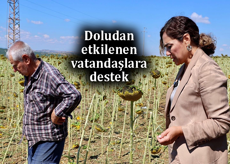 Yüceer,tarım arazilerinde incelemelerde bulundu