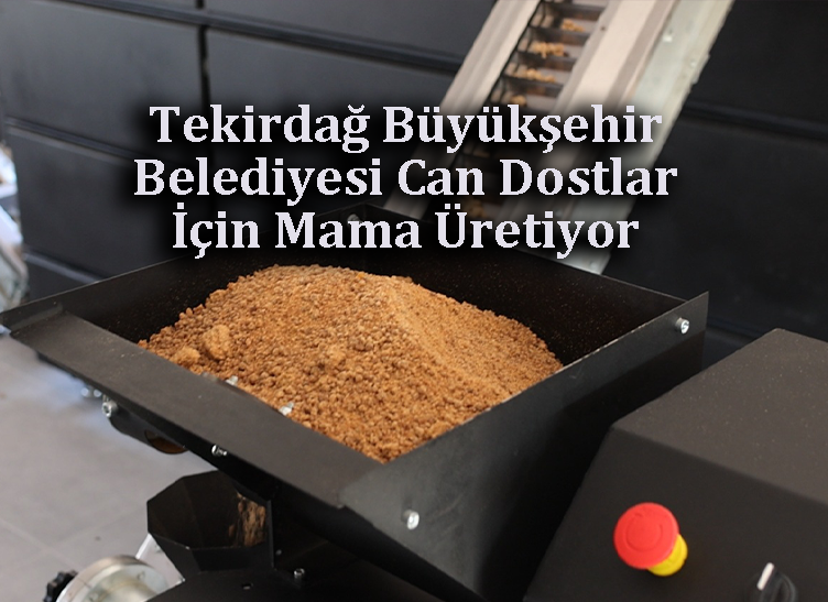 Atık Gıdalardan Can Dostlara Mama