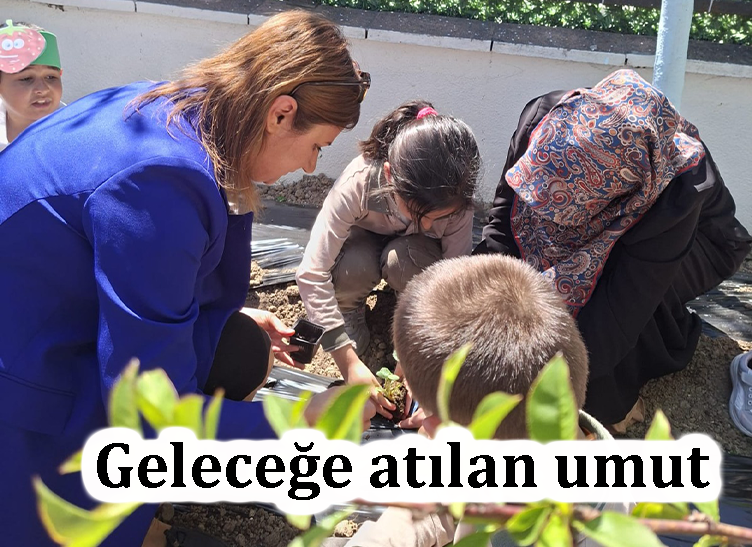 Öğrenciler okul bahçesine çilek dikti