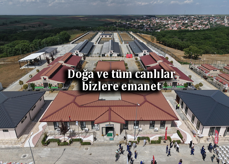Gelişmişlik verilen değerle ölçülür