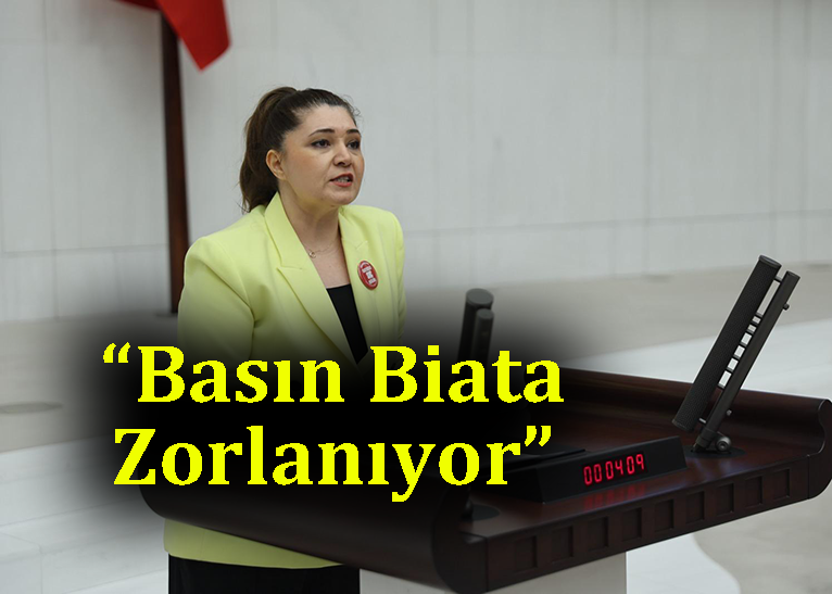 Basın özgürlüğünün garantörü Anayasadır